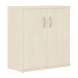 Шкаф с глухими дверьми СТ-3.1 770х365х823 IMAGO