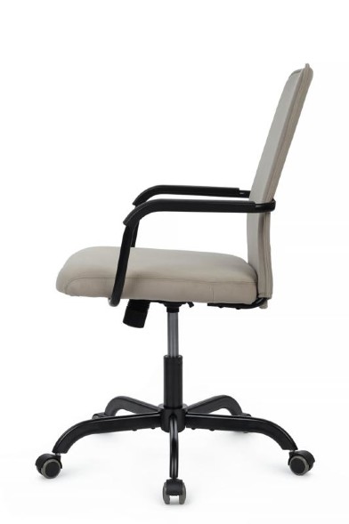 Кресло Ray RCH Низкая спинка RPM-28